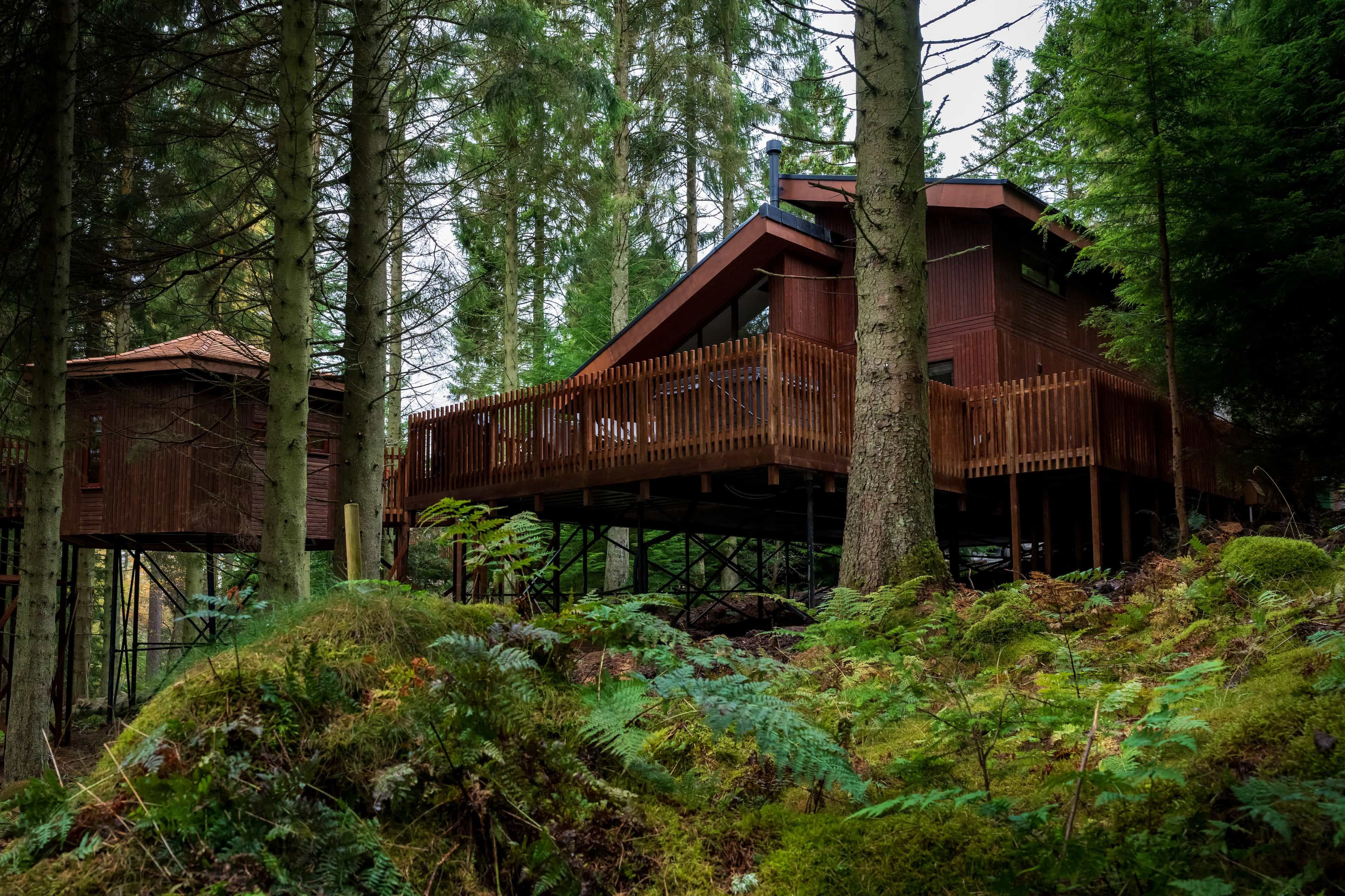 Golden Oak Treehouse at Glentress Forest