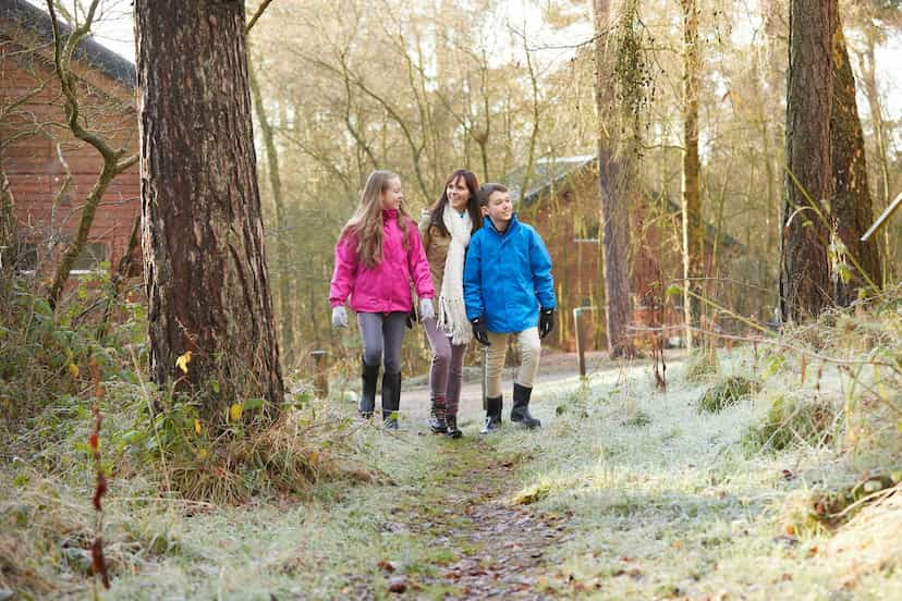 PreChristmas Breaks 2024 UK Forest Holidays