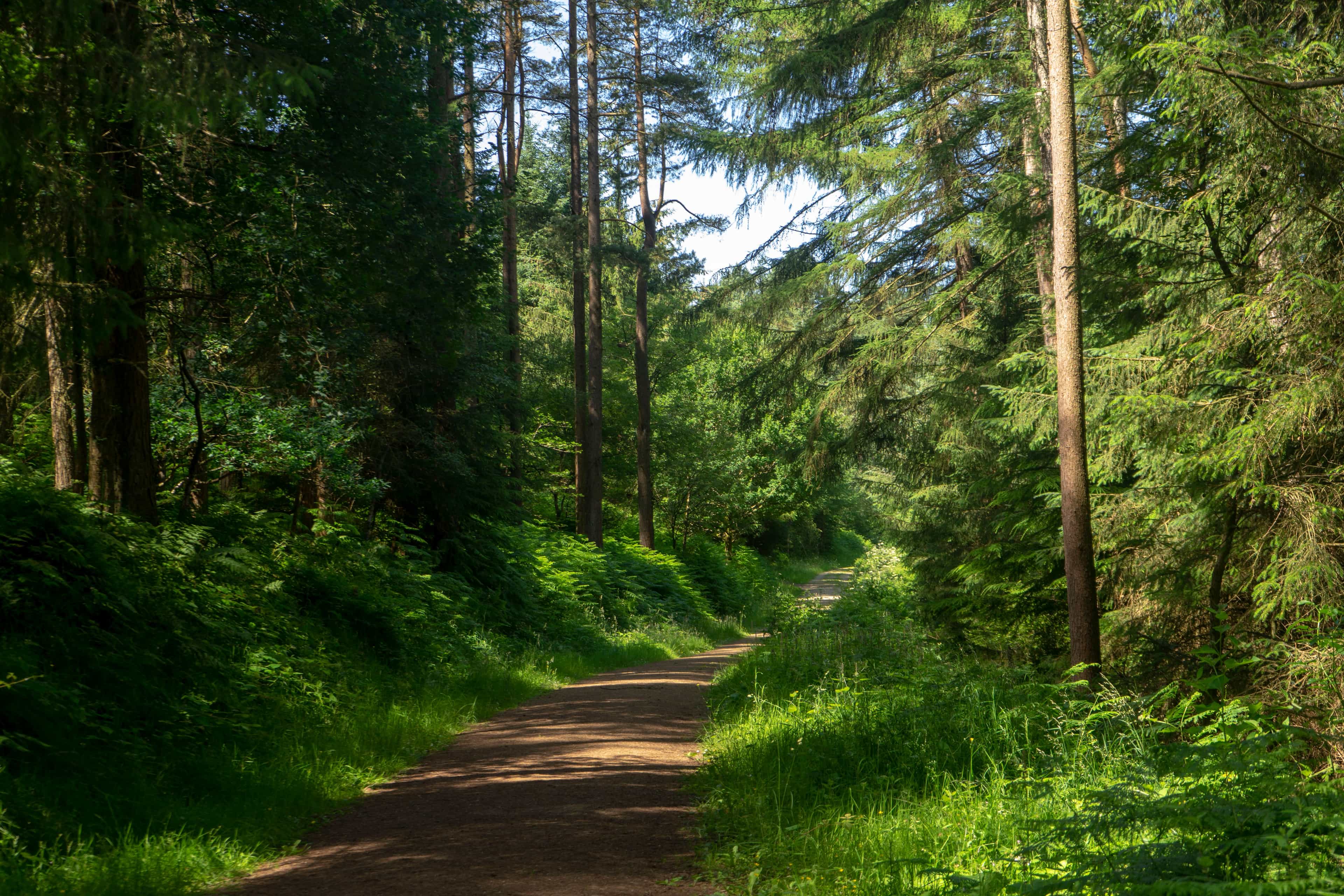The best cycle paths in North Yorkshire